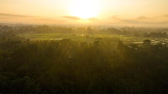Alila Ubud. Bali