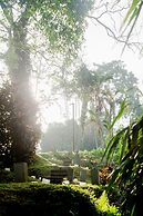 Alila Ubud. Bali