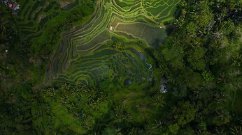 Alila Ubud. Bali
