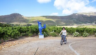 Steenberg Hotel & Spa