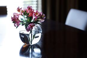 Park Hyatt Mendoza