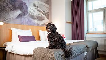 Home Hotel Uppsala