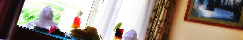 Parrotel Beach Resort