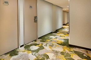 Hotel Mediterranee