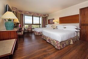 Barceló San José