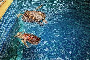 JW Marriott Phuket Resort & Spa