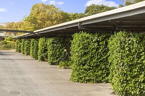 The Wine Vine