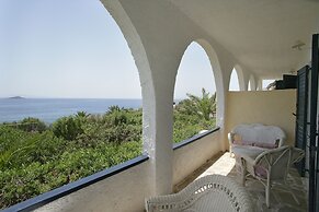 Andros Holiday