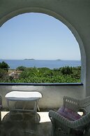 Andros Holiday