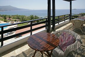 Andros Holiday