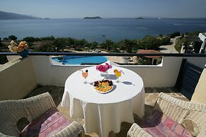 Andros Holiday