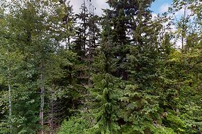 Aspens on Blackcomb
