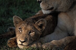 Lion Sands River Lodge
