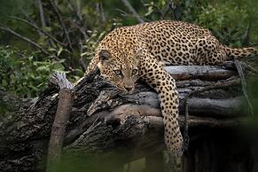 Lion Sands River Lodge