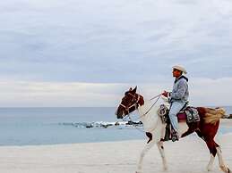 Hilton Los Cabos