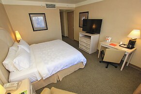 Holiday Inn Leon - Poliforum by IHG