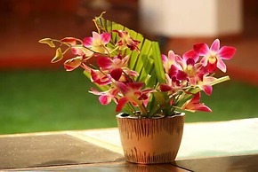 Siolim House