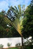 Siolim House