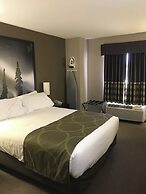 Super 8 by Wyndham Prince Albert