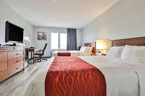 Comfort Inn and Suites St Jerome