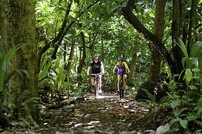 Anse Chastanet Resort
