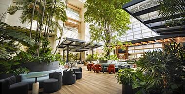 Signia by Hilton Diplomat Beach Resort