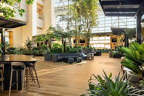 Signia by Hilton Diplomat Beach Resort