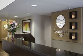 Comfort Inn Sault Ste. Marie - Canada