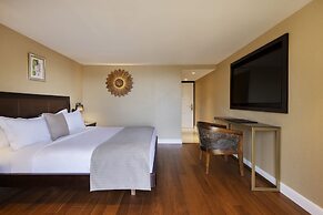 Orchid Eilat