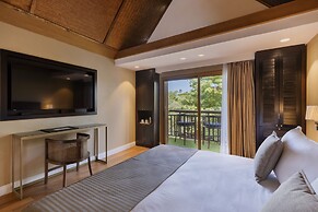 Orchid Eilat