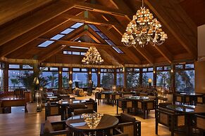 Orchid Eilat