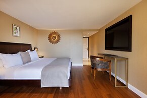 Orchid Eilat