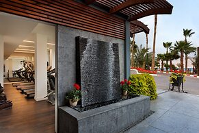 Orchid Eilat