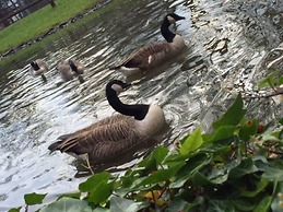 DoubleTree by Hilton Nottingham - Gateway