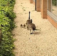 DoubleTree by Hilton Nottingham - Gateway