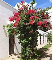 Hotel Solara