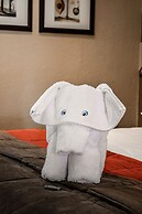 Indaba Hotel