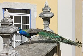 Solar Do Castelo, a Lisbon Heritage Collection
