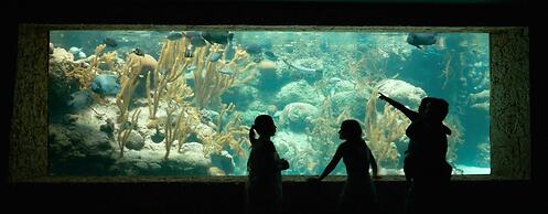 Occidental at Xcaret Destination - All Inclusive