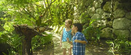 Occidental at Xcaret Destination - All Inclusive