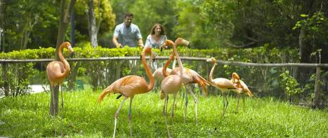 Occidental at Xcaret Destination - All Inclusive