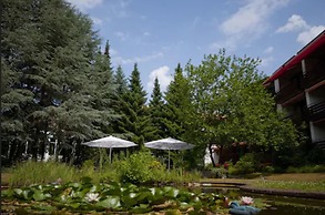 VitalHotel Ascona
