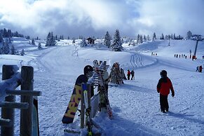 Chalet Hotel Du Bois