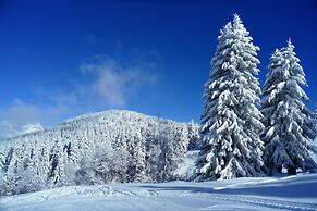 Chalet Hotel Du Bois