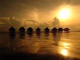 Punta Caracol Acqua Lodge