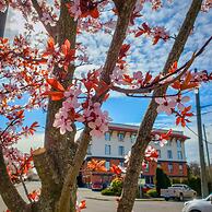 James Bay Inn Hotel & Suites