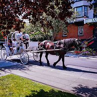 James Bay Inn Hotel & Suites