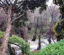 Meson de Sancho