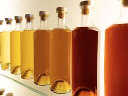 Ibis Styles Cognac