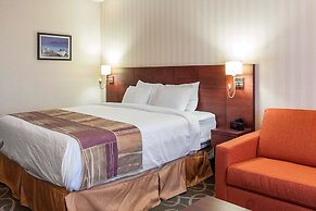 Quality Hotel & Suites